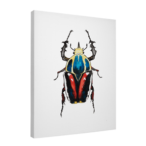 Quadro Decorativo Besouro 2 | Rodrigo Paladino - Meu Rodapé