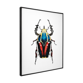 Quadro Decorativo Besouro 2 | Rodrigo Paladino - Meu Rodapé
