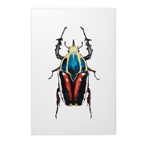 Quadro Decorativo Besouro 2 | Rodrigo Paladino - Meu Rodapé