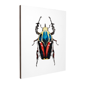 Quadro Decorativo Besouro 2 | Rodrigo Paladino - Meu Rodapé