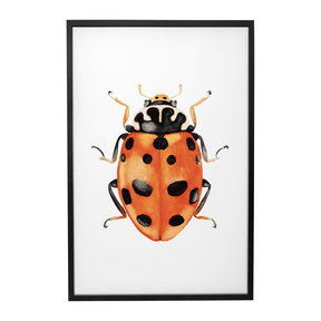 Quadro Decorativo Besouro 3 | Rodrigo Paladino - Meu Rodapé