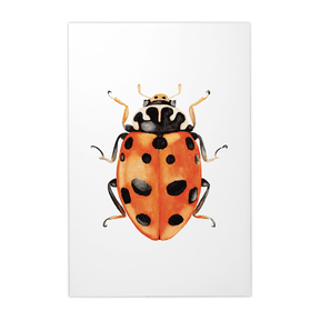 Quadro Decorativo Besouro 3 | Rodrigo Paladino - Meu Rodapé