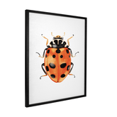 Quadro Decorativo Besouro 3 | Rodrigo Paladino - Meu Rodapé