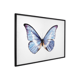 Quadro Decorativo Borboleta Azul | Bruna Berger - Meu Rodapé