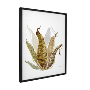 Quadro Decorativo Bromélia Colorida | Thaís Mota - Meu Rodapé