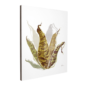 Quadro Decorativo Bromélia Colorida | Thaís Mota - Meu Rodapé