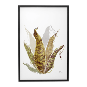 Quadro Decorativo Bromélia Colorida | Thaís Mota - Meu Rodapé