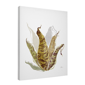 Quadro Decorativo Bromélia Colorida | Thaís Mota - Meu Rodapé