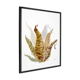 Quadro Decorativo Bromélia Colorida | Thaís Mota - Meu Rodapé