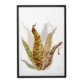 Quadro Decorativo Bromélia Colorida | Thaís Mota - Meu Rodapé