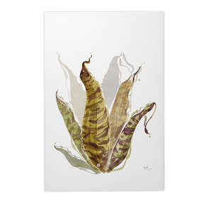 Quadro Decorativo Bromélia Colorida | Thaís Mota - Meu Rodapé