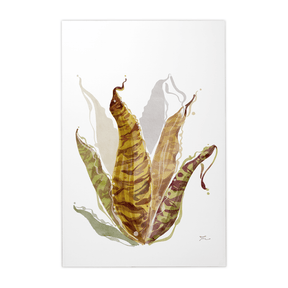 Quadro Decorativo Bromélia Colorida | Thaís Mota - Meu Rodapé