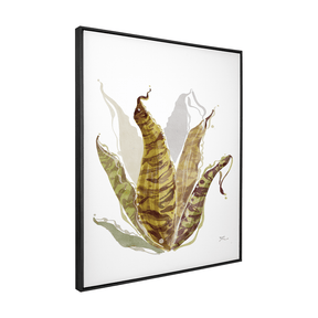 Quadro Decorativo Bromélia Colorida | Thaís Mota - Meu Rodapé