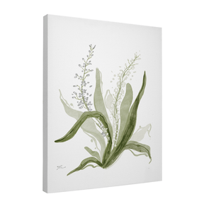 Quadro Decorativo Bromélia Florida | Thaís Mota - Meu Rodapé