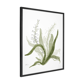 Quadro Decorativo Bromélia Florida | Thaís Mota - Meu Rodapé