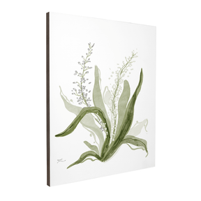 Quadro Decorativo Bromélia Florida | Thaís Mota - Meu Rodapé