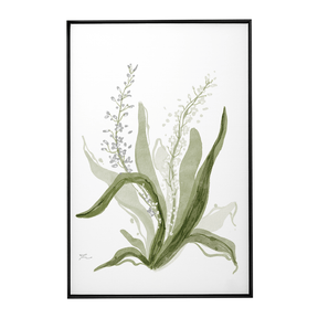 Quadro Decorativo Bromélia Florida | Thaís Mota - Meu Rodapé