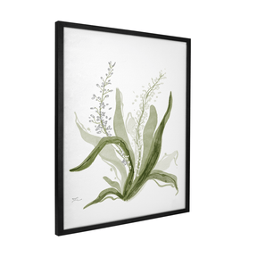 Quadro Decorativo Bromélia Florida | Thaís Mota - Meu Rodapé
