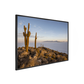 Quadro Decorativo Cactos | Roberto Cosseff - Meu Rodapé
