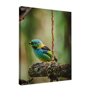 Quadro Decorativo Cadeira de Balanço | Albori Ribeiro - Meu Rodapé