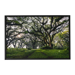 Quadro Decorativo Caminhos da Floresta | Mundo sem Muros - Meu Rodapé