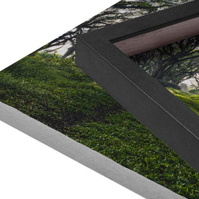 Quadro Decorativo Caminhos da Floresta | Mundo sem Muros - Meu Rodapé