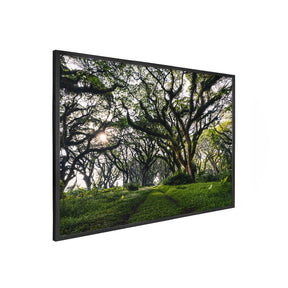 Quadro Decorativo Caminhos da Floresta | Mundo sem Muros - Meu Rodapé