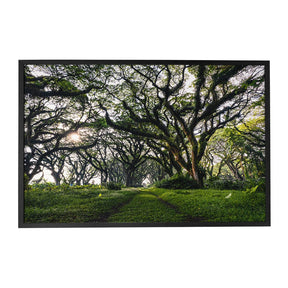 Quadro Decorativo Caminhos da Floresta | Mundo sem Muros - Meu Rodapé