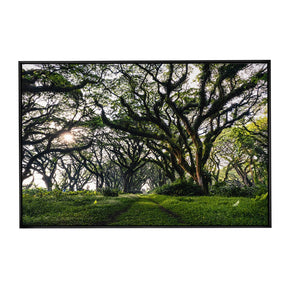 Quadro Decorativo Caminhos da Floresta | Mundo sem Muros - Meu Rodapé