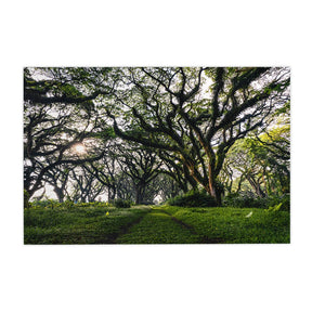 Quadro Decorativo Caminhos da Floresta | Mundo sem Muros - Meu Rodapé