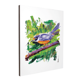 Quadro Decorativo Canário | Paulo Ferrari - Meu Rodapé