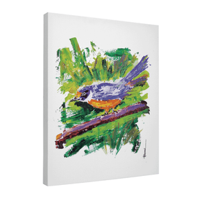 Quadro Decorativo Canário | Paulo Ferrari - Meu Rodapé