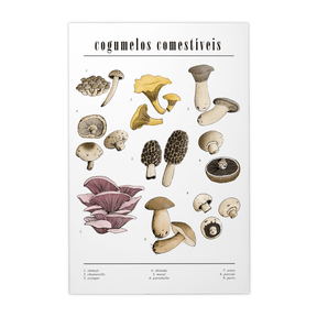 Quadro Decorativo Cogumelos | Chrystian Perottoni - Meu Rodapé