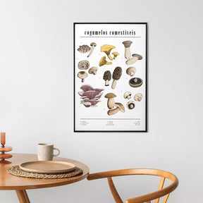 Quadro Decorativo Cogumelos | Chrystian Perottoni - Meu Rodapé