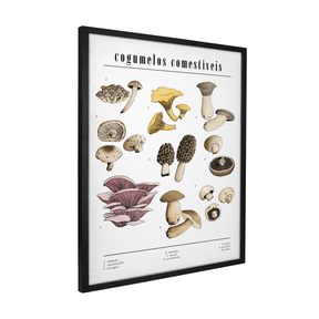Quadro Decorativo Cogumelos | Chrystian Perottoni - Meu Rodapé