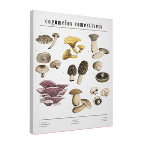Quadro Decorativo Cogumelos | Chrystian Perottoni - Meu Rodapé