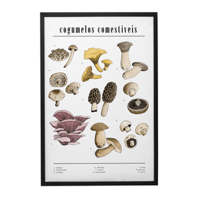 Quadro Decorativo Cogumelos | Chrystian Perottoni - Meu Rodapé