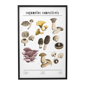 Quadro Decorativo Cogumelos | Chrystian Perottoni - Meu Rodapé