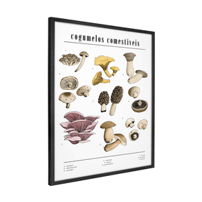 Quadro Decorativo Cogumelos | Chrystian Perottoni - Meu Rodapé