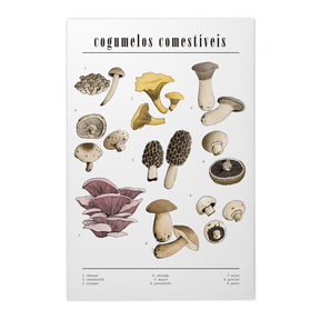 Quadro Decorativo Cogumelos | Chrystian Perottoni - Meu Rodapé