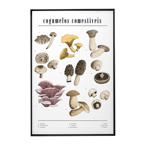 Quadro Decorativo Cogumelos | Chrystian Perottoni - Meu Rodapé