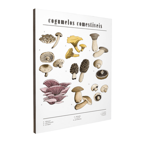 Quadro Decorativo Cogumelos | Chrystian Perottoni - Meu Rodapé