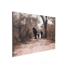 Quadro Decorativo Elefante África | Patricia Schussel Gomes - Meu Rodapé