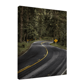 Quadro Decorativo Estrada da Mantiqueira | Fagner Martins - Meu Rodapé