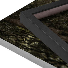 Quadro Decorativo Estrada da Mantiqueira | Fagner Martins - Meu Rodapé