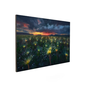 Quadro Decorativo Fireworks | Marcio Cabral - Meu Rodapé