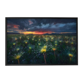 Quadro Decorativo Fireworks | Marcio Cabral - Meu Rodapé