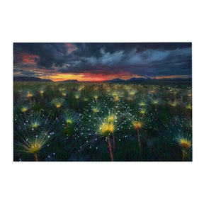 Quadro Decorativo Fireworks | Marcio Cabral - Meu Rodapé