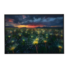 Quadro Decorativo Fireworks | Marcio Cabral - Meu Rodapé