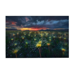 Quadro Decorativo Fireworks | Marcio Cabral - Meu Rodapé